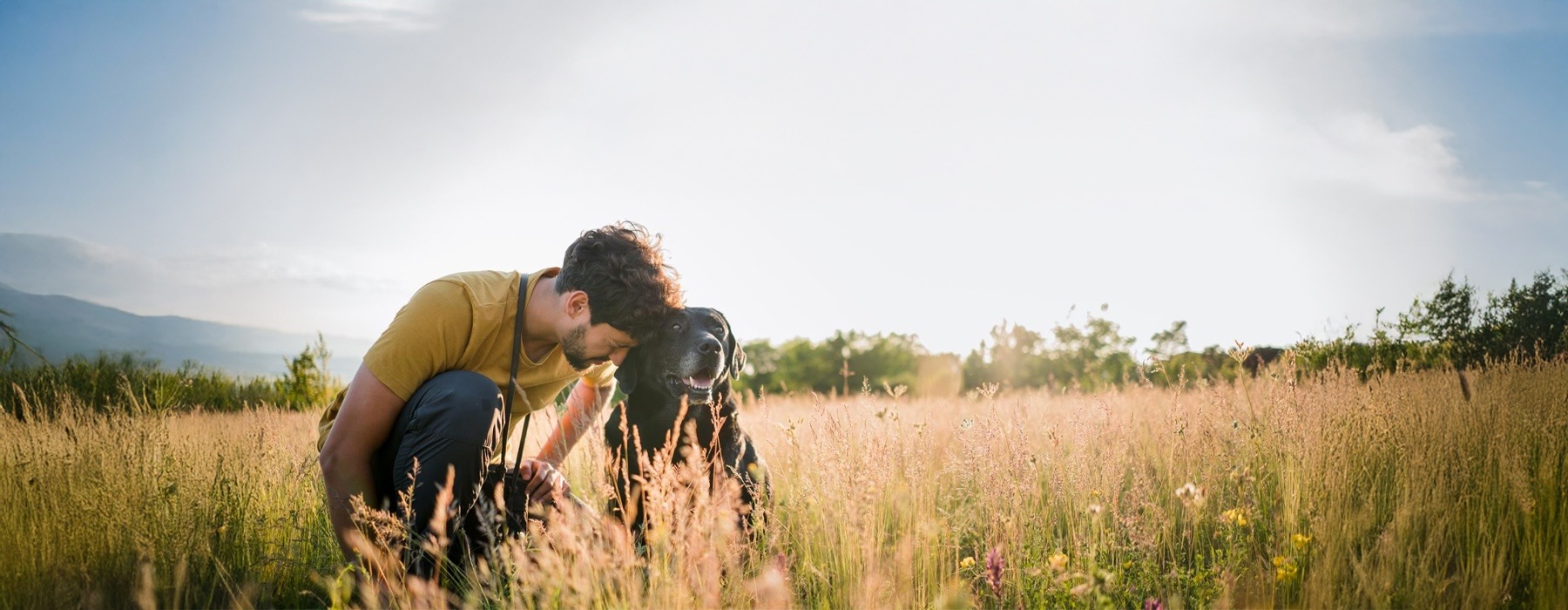 a man and a dog in a field